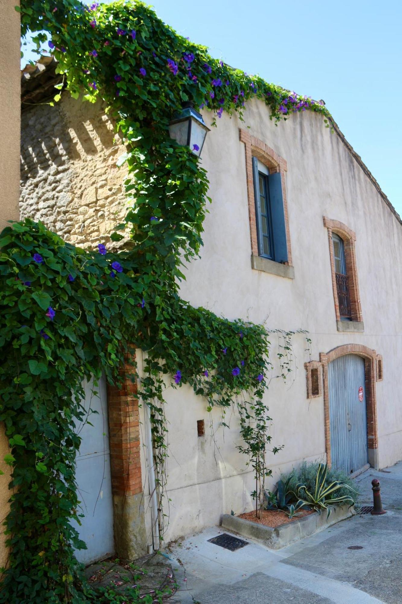 La Cite Secrete Villa Каркасон Екстериор снимка