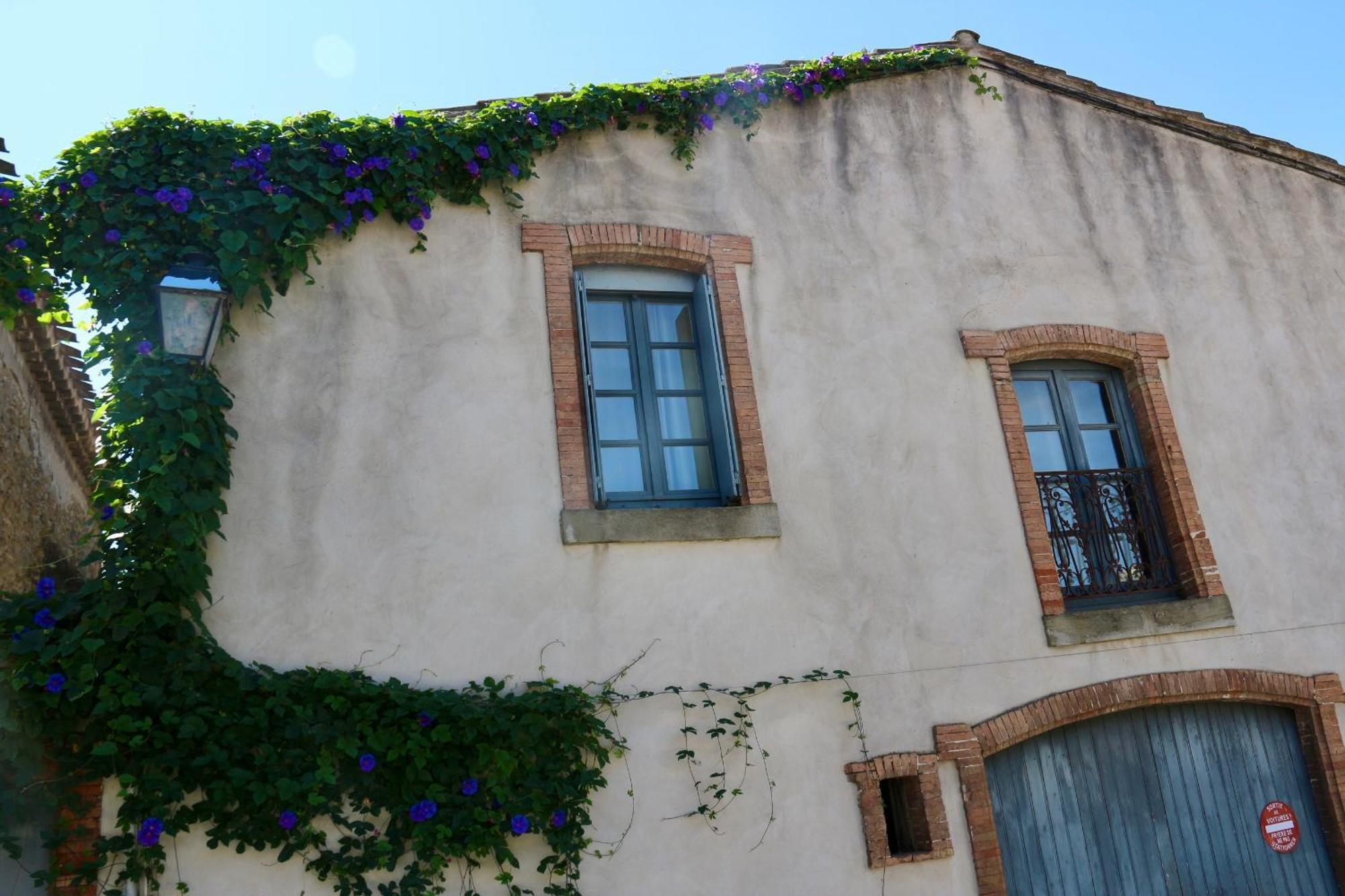 La Cite Secrete Villa Каркасон Екстериор снимка
